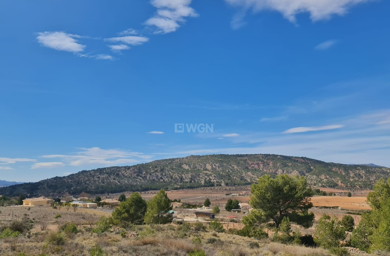 Wiederverkauf - Grundstück / Grundstück - Pinoso - Inland