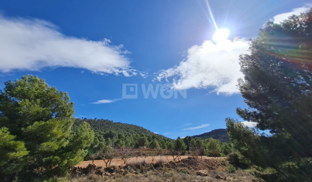 Wiederverkauf - Grundstück / Grundstück - Pinoso - Inland