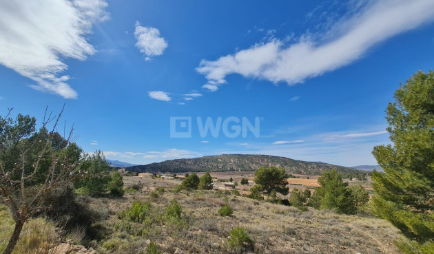 Wiederverkauf - Grundstück / Grundstück - Pinoso - Inland