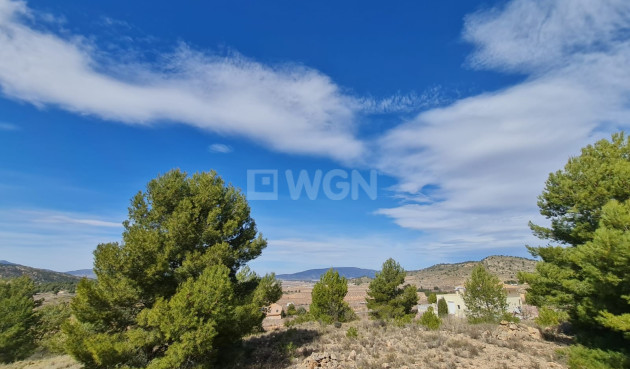 Wiederverkauf - Grundstück / Grundstück - Pinoso - Inland