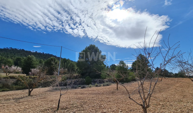 Wiederverkauf - Grundstück / Grundstück - Pinoso - Inland