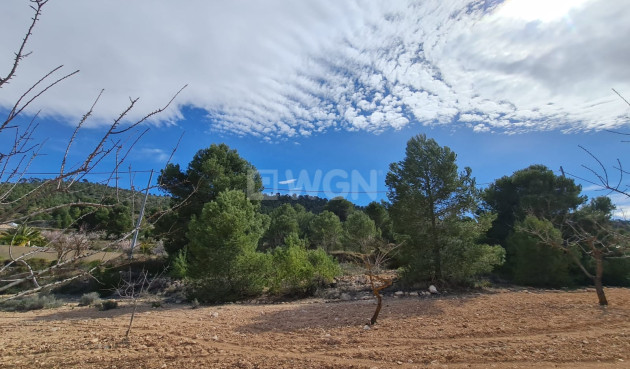 Wiederverkauf - Grundstück / Grundstück - Pinoso - Inland