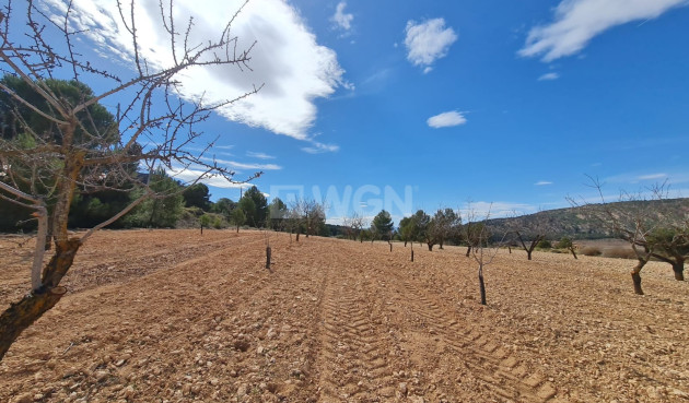 Wiederverkauf - Grundstück / Grundstück - Pinoso - Inland