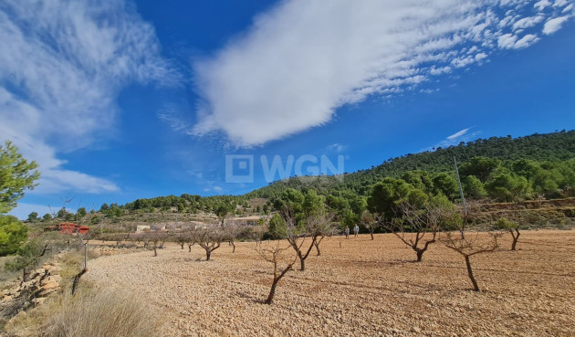 Wiederverkauf - Grundstück / Grundstück - Pinoso - Inland