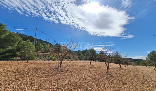 Wiederverkauf - Grundstück / Grundstück - Pinoso - Inland