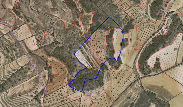 Odsprzedaż - Działka / Grunt - La Zarza - Inland