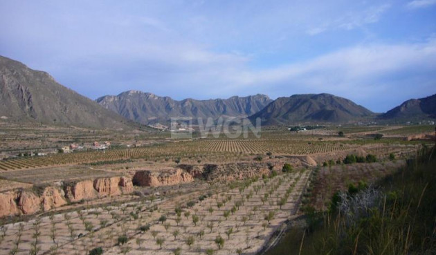 Wiederverkauf - Other - Macisvenda - Inland