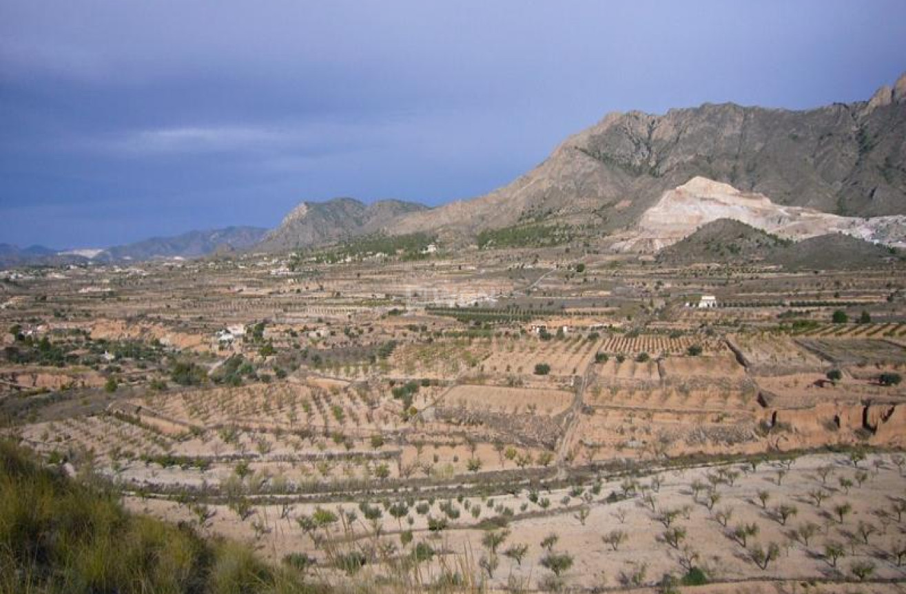 Wiederverkauf - Other - Macisvenda - Inland