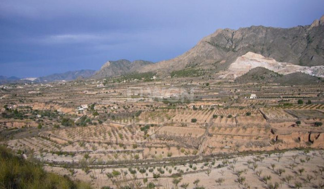 Wiederverkauf - Other - Macisvenda - Inland