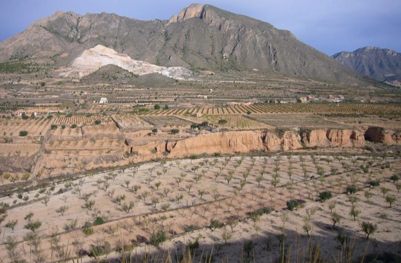 Wiederverkauf - Other - Macisvenda - Inland