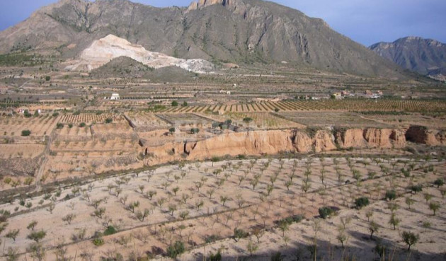 Wiederverkauf - Other - Macisvenda - Inland