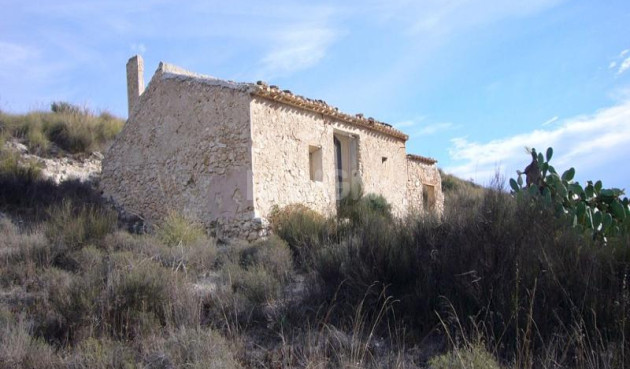 Wiederverkauf - Other - Macisvenda - Inland