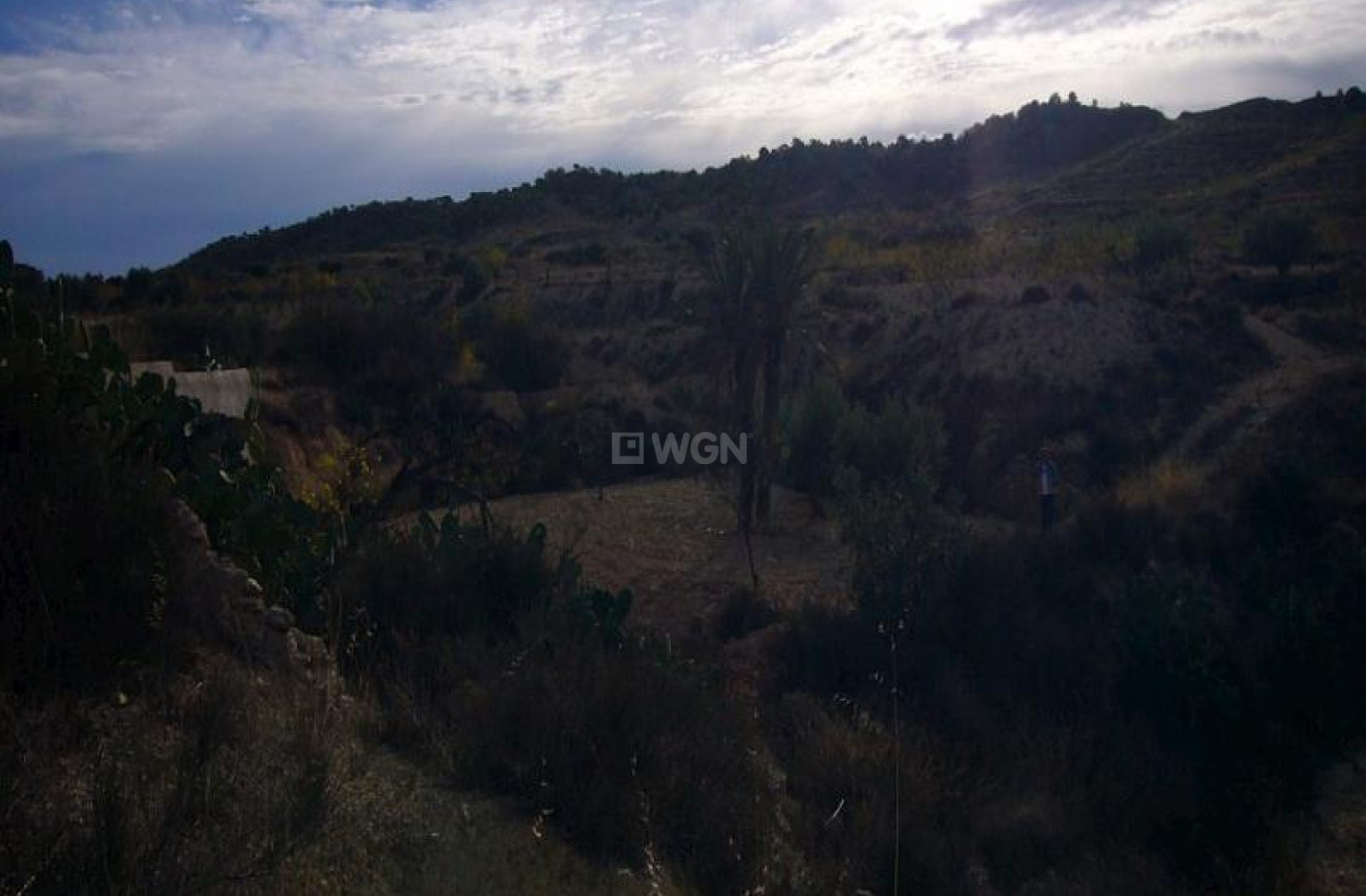 Wiederverkauf - Other - Macisvenda - Inland