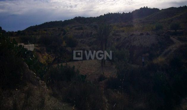 Wiederverkauf - Other - Macisvenda - Inland