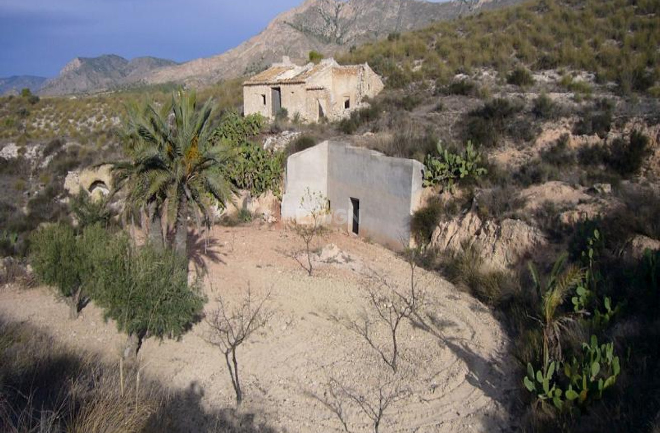 Wiederverkauf - Other - Macisvenda - Inland