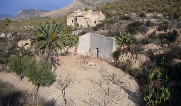 Wiederverkauf - Other - Macisvenda - Inland