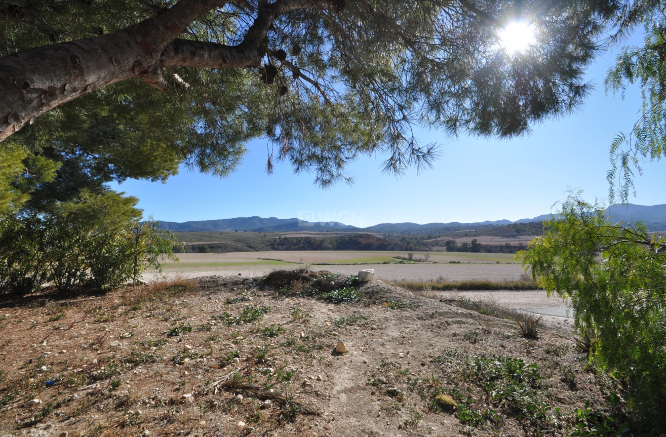 Wiederverkauf - Villa - Jumilla - Inland