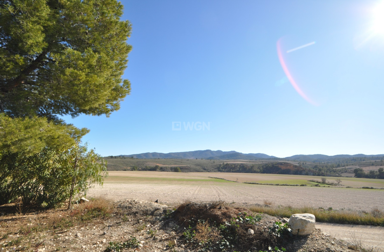 Wiederverkauf - Villa - Jumilla - Inland