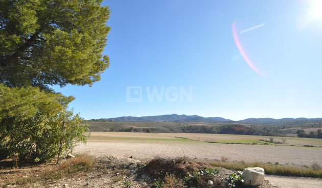 Wiederverkauf - Villa - Jumilla - Inland