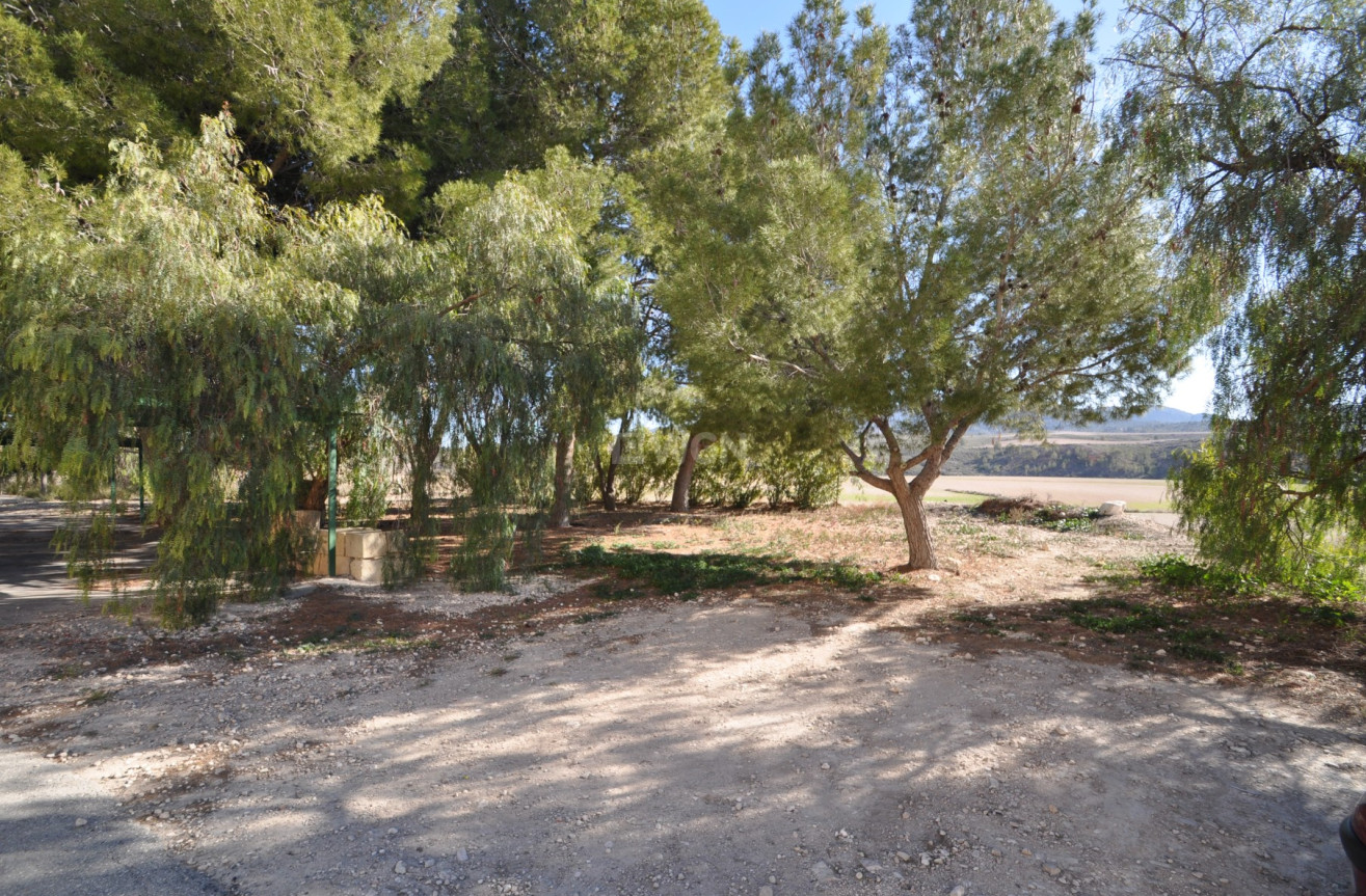 Wiederverkauf - Villa - Jumilla - Inland