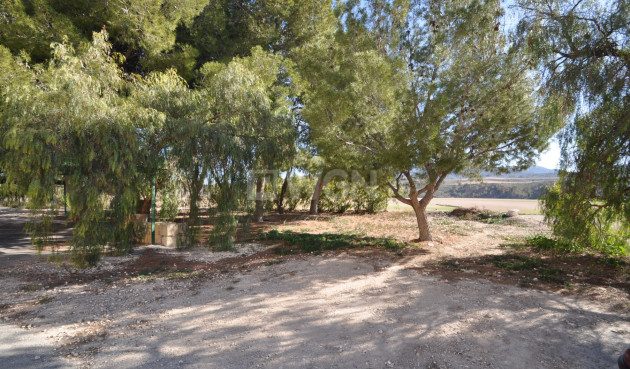 Wiederverkauf - Villa - Jumilla - Inland