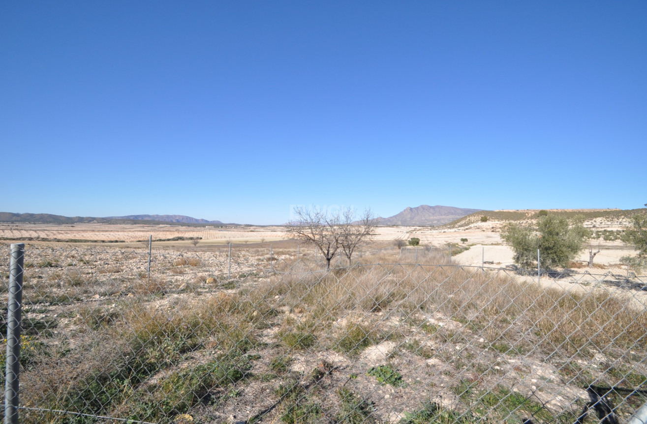 Wiederverkauf - Villa - Jumilla - Inland