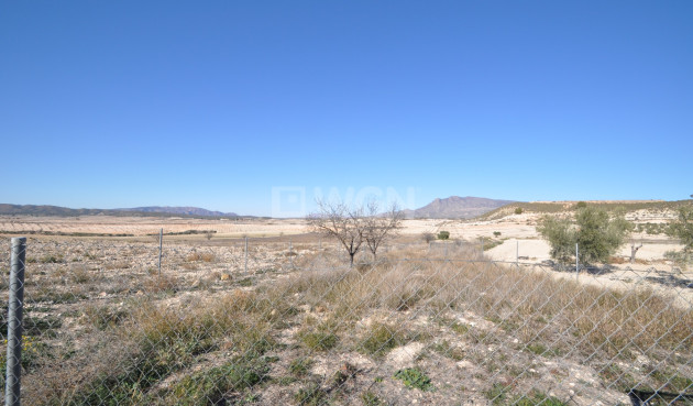 Wiederverkauf - Villa - Jumilla - Inland