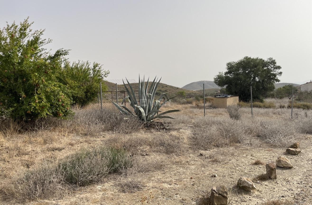 Wiederverkauf - Villa - La Pinilla - Inland