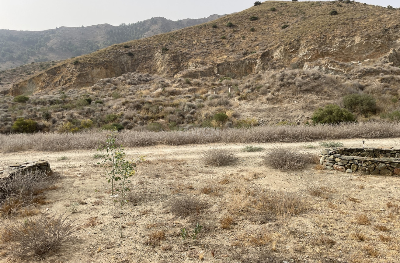 Wiederverkauf - Villa - La Pinilla - Inland