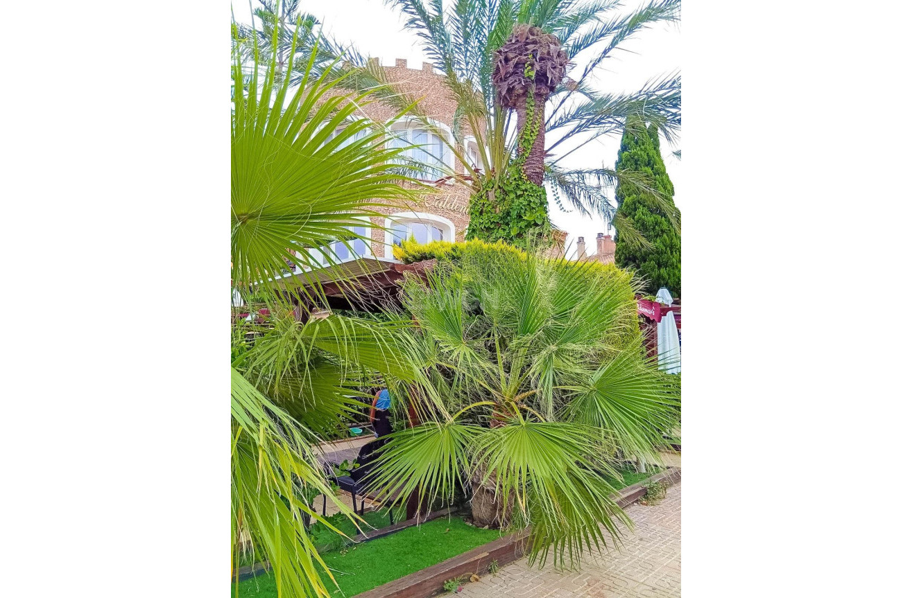 Resale - Apartment / flat - Orihuela Costa - La Florida