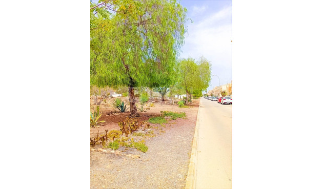 Resale - Apartment / flat - Orihuela Costa - La Florida