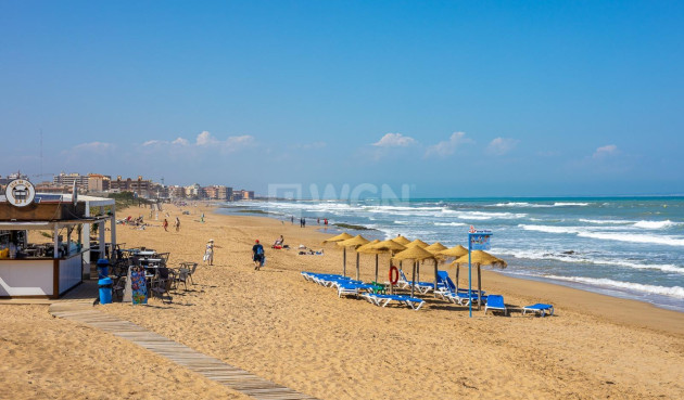 Odsprzedaż - Mieszkanie w bloku - Torrevieja - La Mata