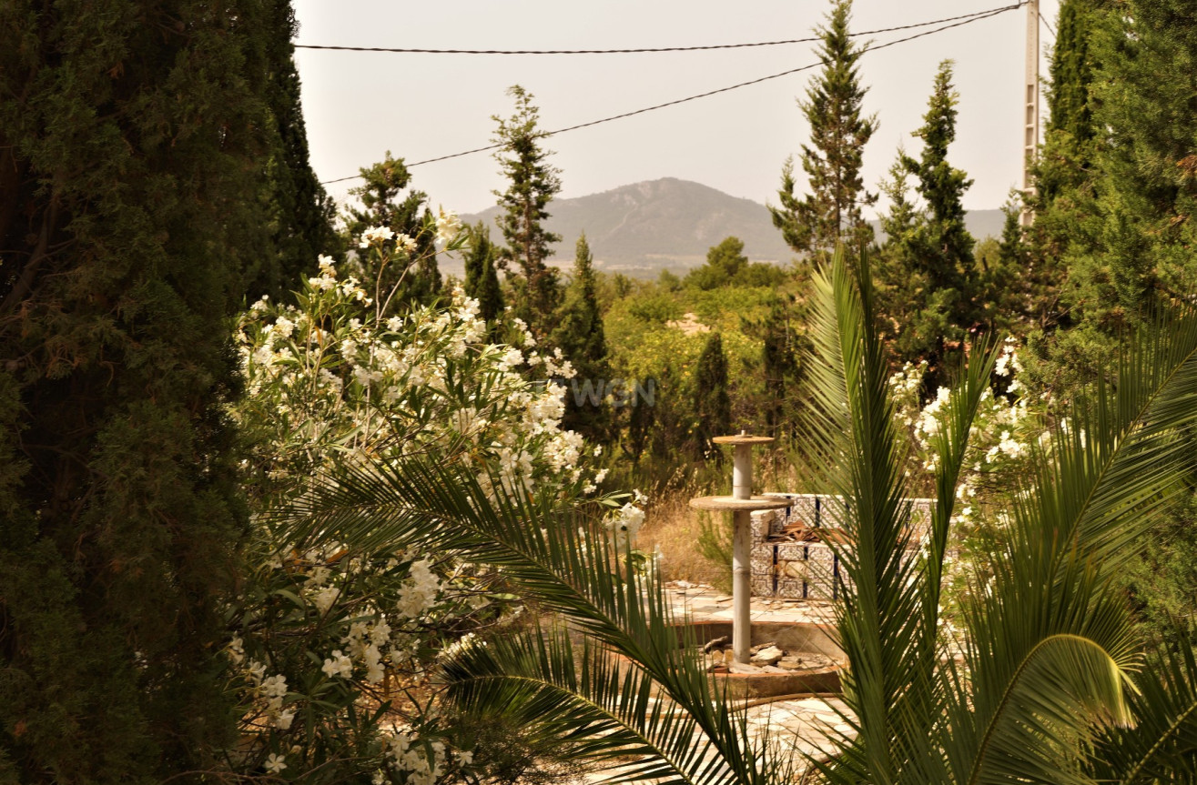 Wiederverkauf - Other - Salinas - Inland