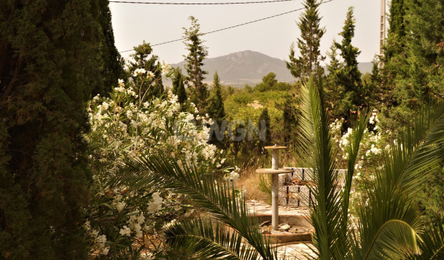 Wiederverkauf - Other - Salinas - Inland