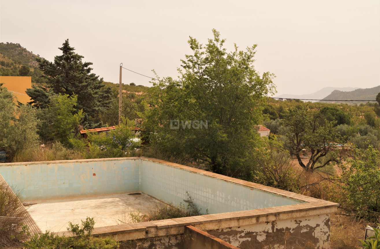 Wiederverkauf - Other - Salinas - Inland