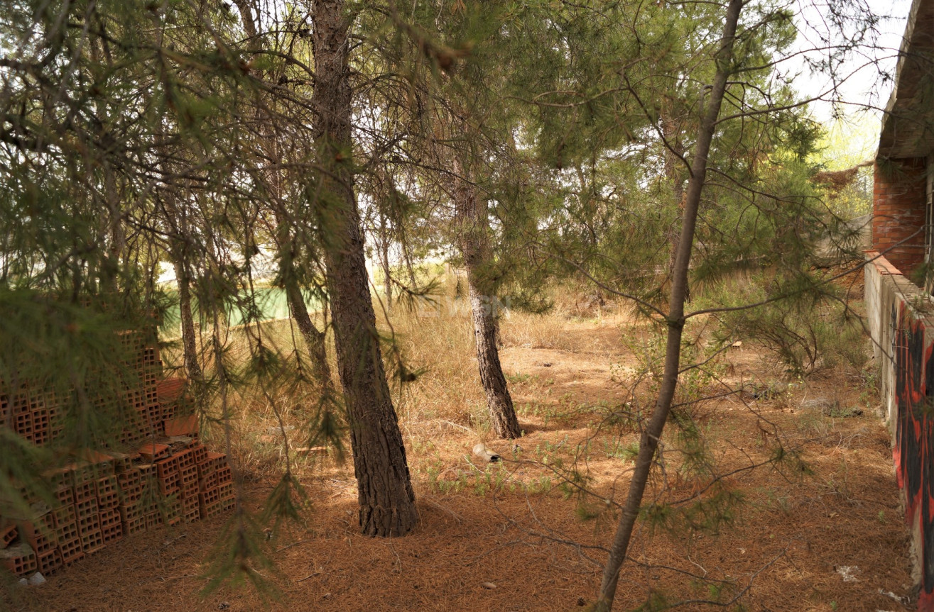 Wiederverkauf - Other - Salinas - Inland