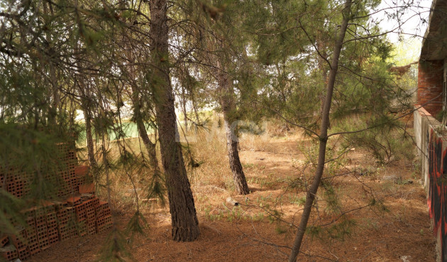 Wiederverkauf - Other - Salinas - Inland