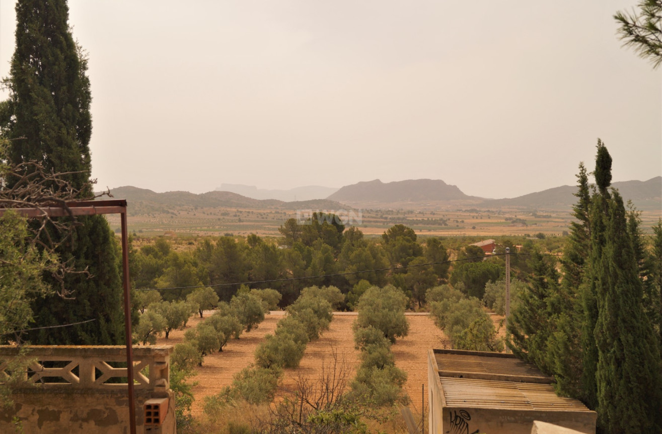 Wiederverkauf - Other - Salinas - Inland