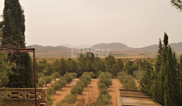 Wiederverkauf - Other - Salinas - Inland