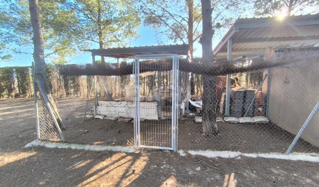 Odsprzedaż - Villa - Yecla - Inland