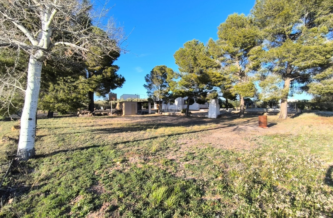 Odsprzedaż - Villa - Yecla - Inland