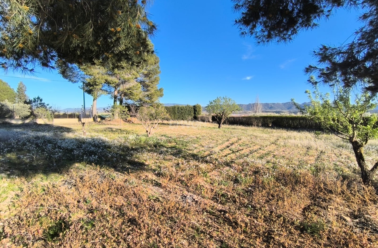 Odsprzedaż - Villa - Yecla - Inland