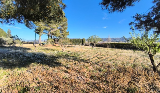 Odsprzedaż - Villa - Yecla - Inland