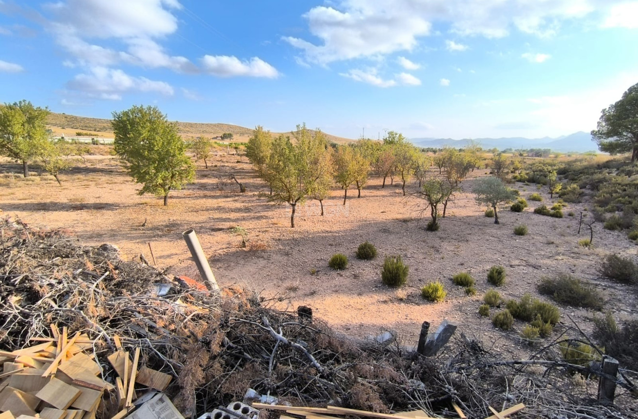 Resale - Villa - Yecla - Inland