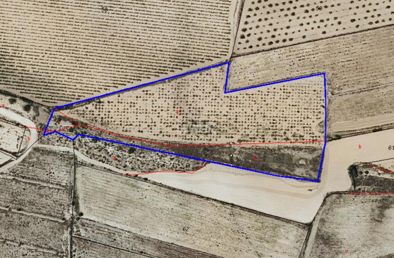 Reventa - Parcela / Terreno - Pinoso - Inland