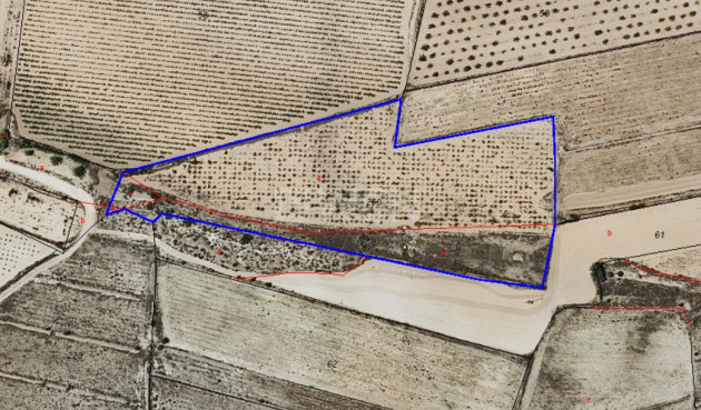 Reventa - Parcela / Terreno - Pinoso - Inland