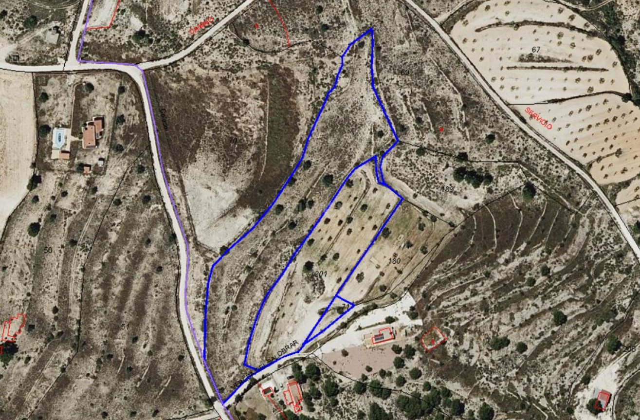 Wiederverkauf - Grundstück / Grundstück - Pinoso - Inland
