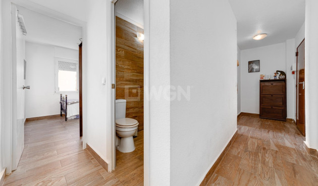 Odsprzedaż - Mieszkanie w bloku - Torrevieja - Playa del Cura