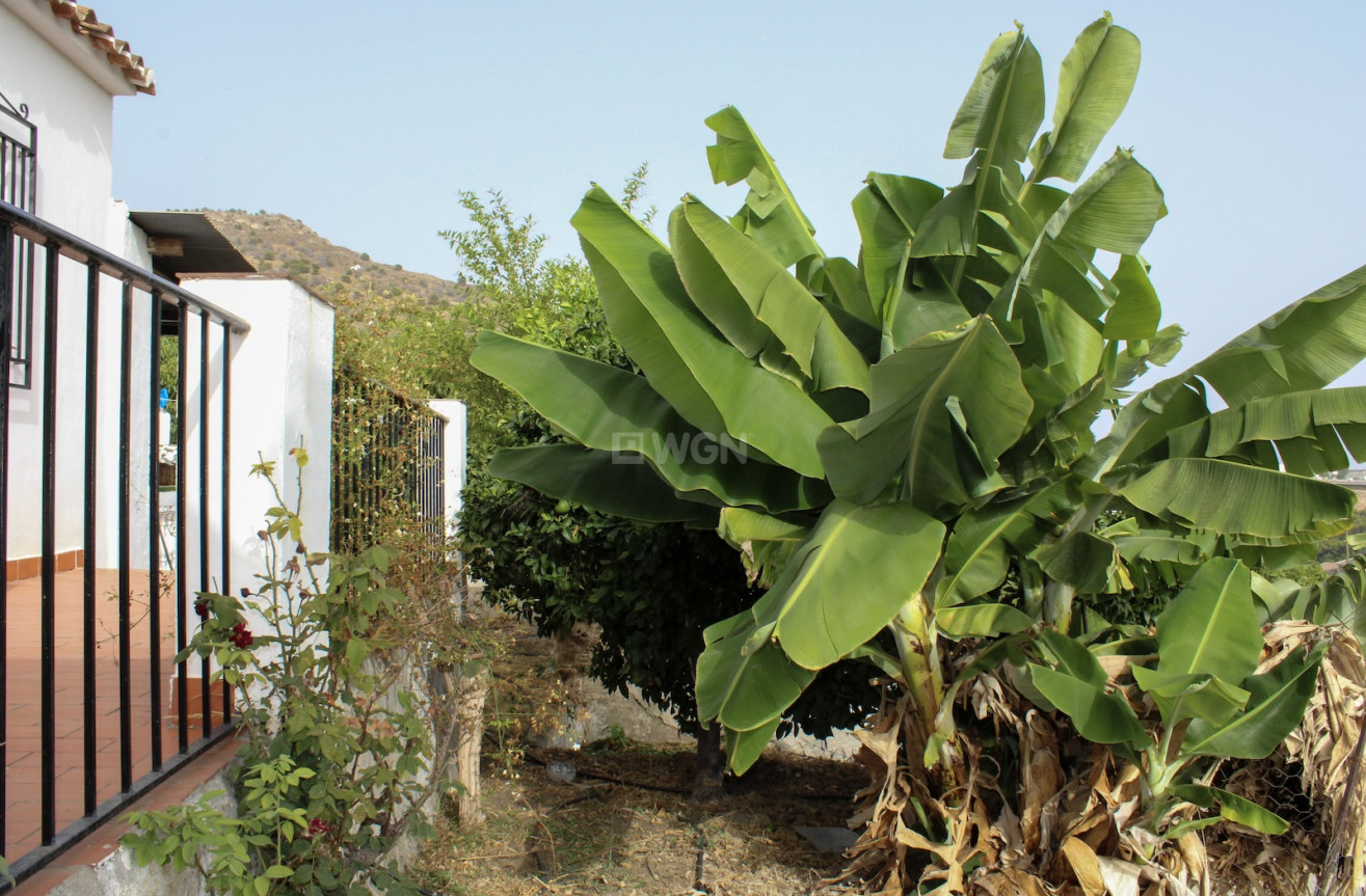 Odsprzedaż - Villa - Nerja - Costa del Sol