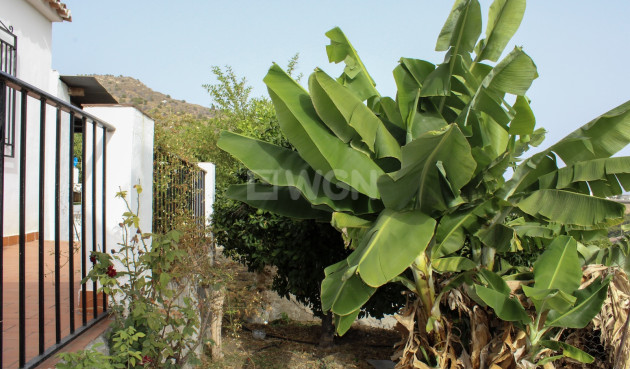 Odsprzedaż - Villa - Nerja - Costa del Sol
